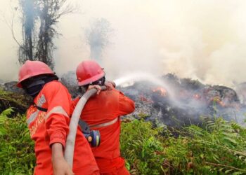 Hotspot Turun 84 Titik, Operasi Karhutla Tetap Diperkuat
