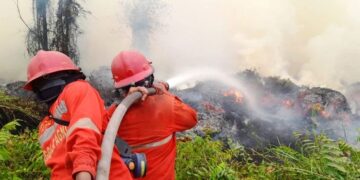 Hotspot Turun 84 Titik, Operasi Karhutla Tetap Diperkuat